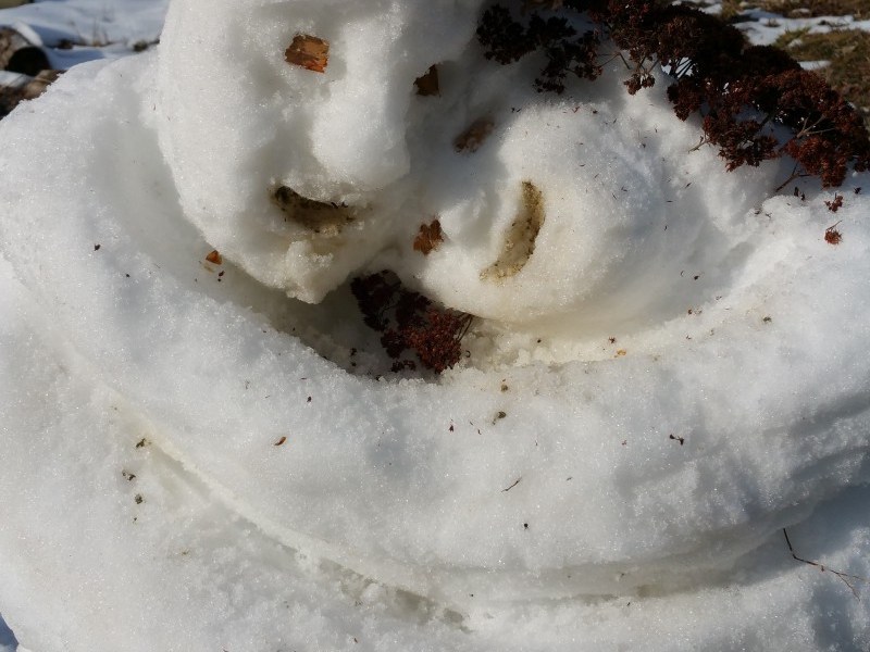 This really happened…